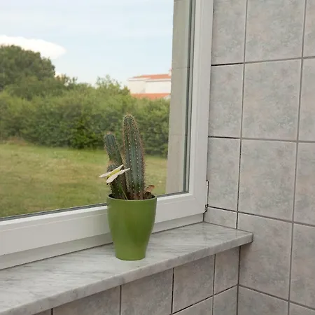 Seaview House Mali Rog